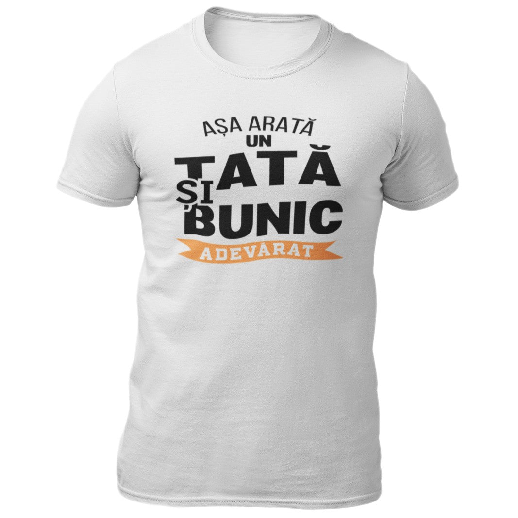 Tricou Asa arata un tata si bunic adevarat