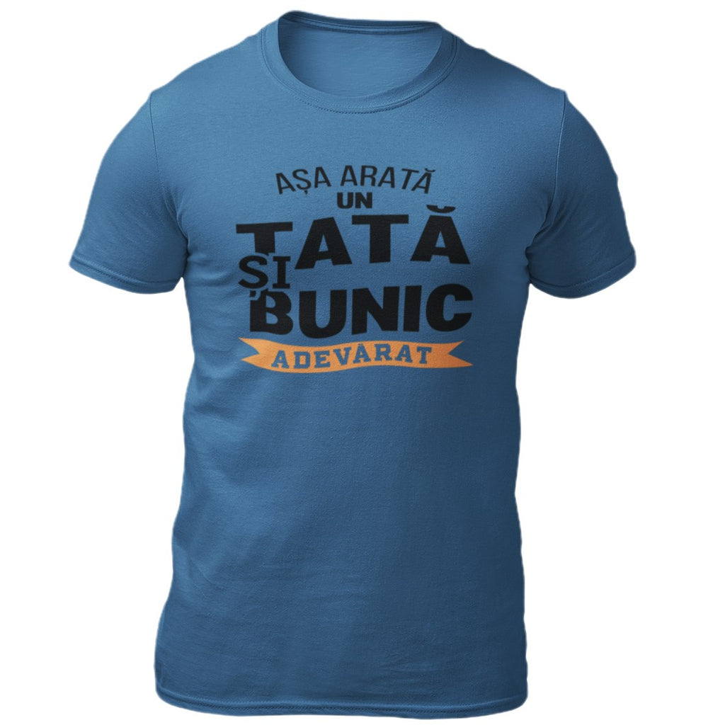 Tricou Asa arata un tata si bunic adevarat