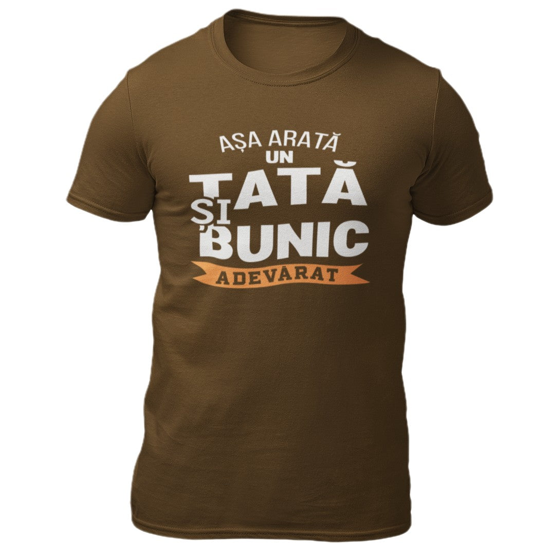 Tricou Asa arata un tata si bunic adevarat